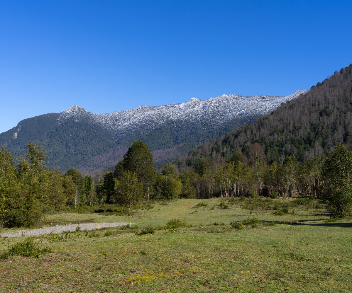 For Sale Se vende Parcelacion Terrain Terreno Caburgua Pucon Lago Caburgua Villarrica Araucania Chile