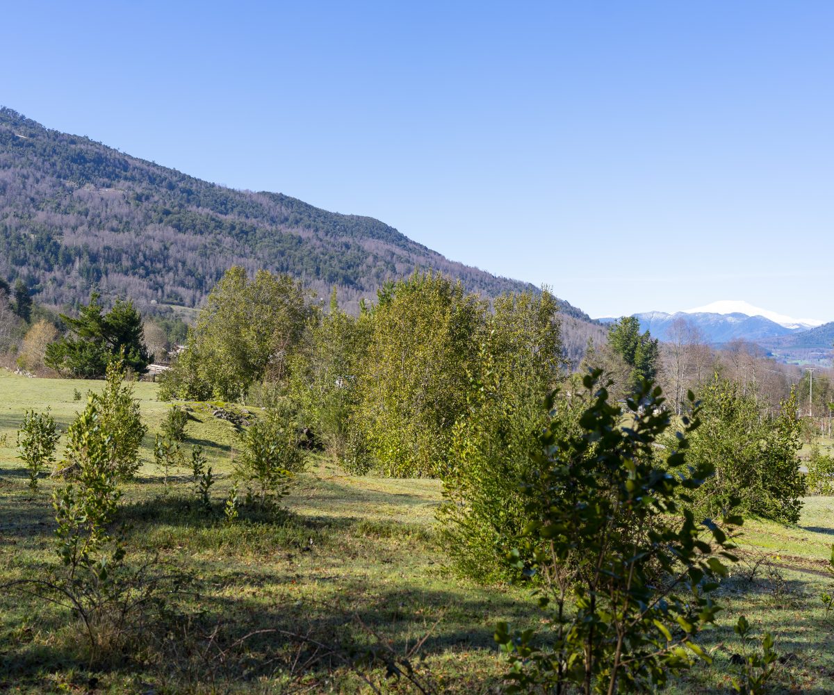 For Sale Se vende Parcelacion Terrain Terreno Caburgua Pucon Lago Caburgua Villarrica Araucania Chile