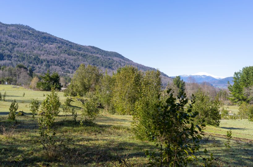 For Sale Se vende Parcelacion Terrain Terreno Caburgua Pucon Lago Caburgua Villarrica Araucania Chile