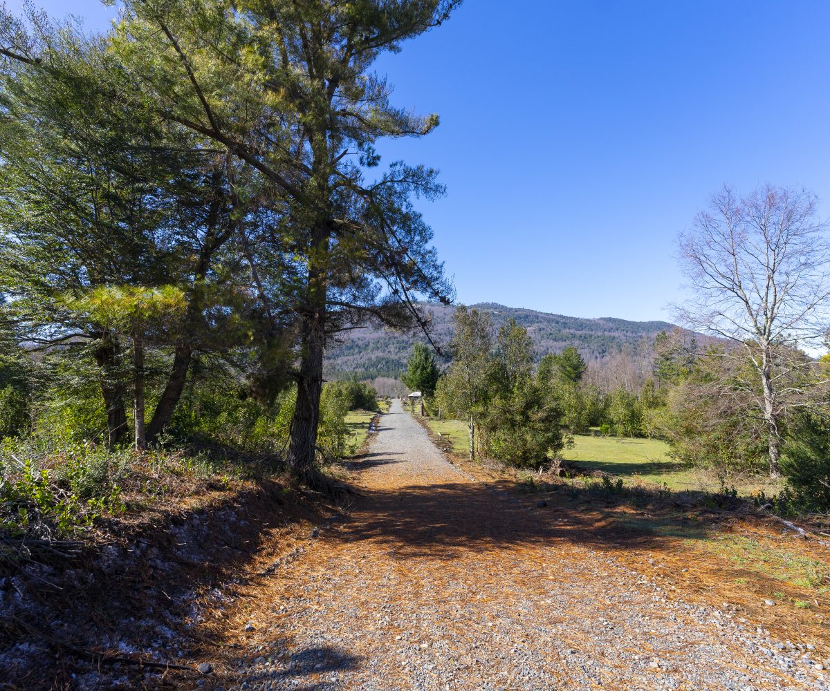 For Sale Se vende Parcelacion Terrain Terreno Caburgua Pucon Lago Caburgua Villarrica Araucania Chile