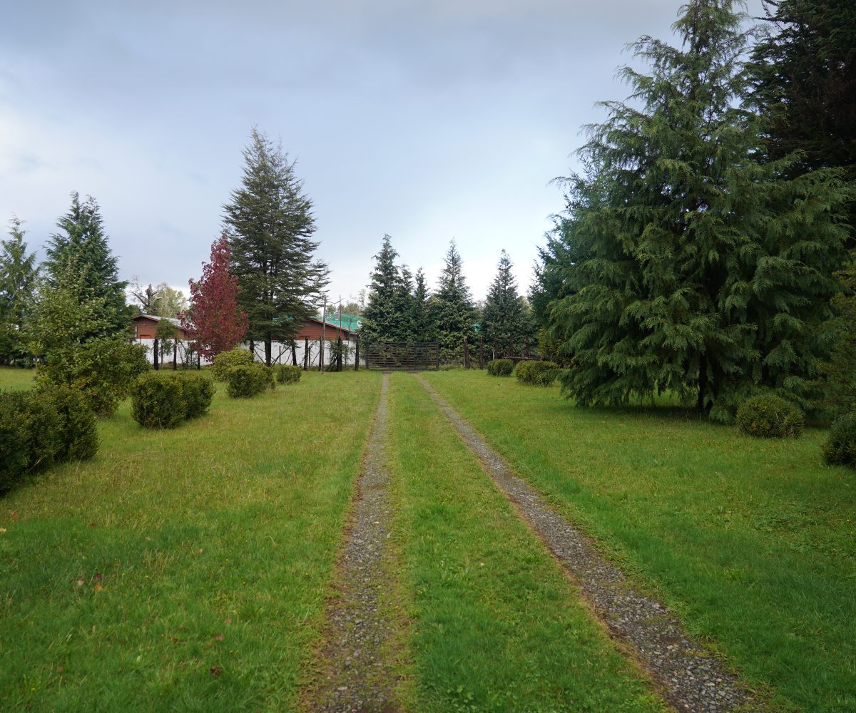 For Sale Se vende precious house casa Villarrica LlauLLau Camino LicanRay close to Pucon 4 bedrooms dormitorios pozo