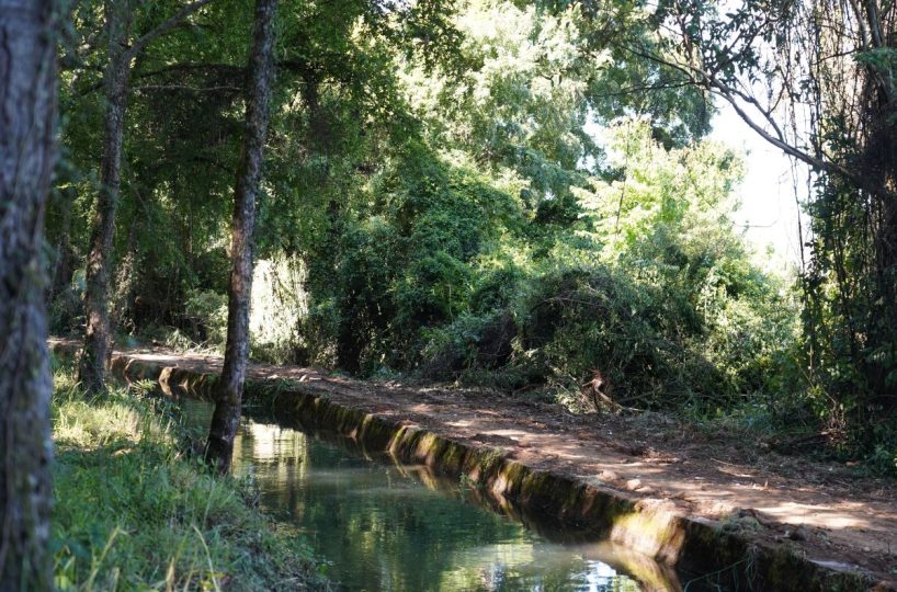 Sale Company Plot Terrrain Production Park Temuco Lautaro Ruta 5