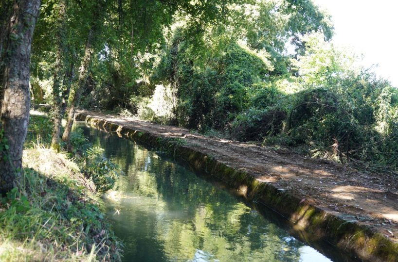 Sale Company Plot Terrrain Production Park Temuco Lautaro Ruta 5