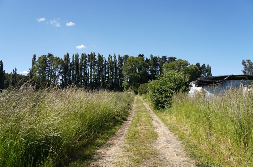 Sale Company Plot Terrrain Production Park Temuco Lautaro Ruta 5