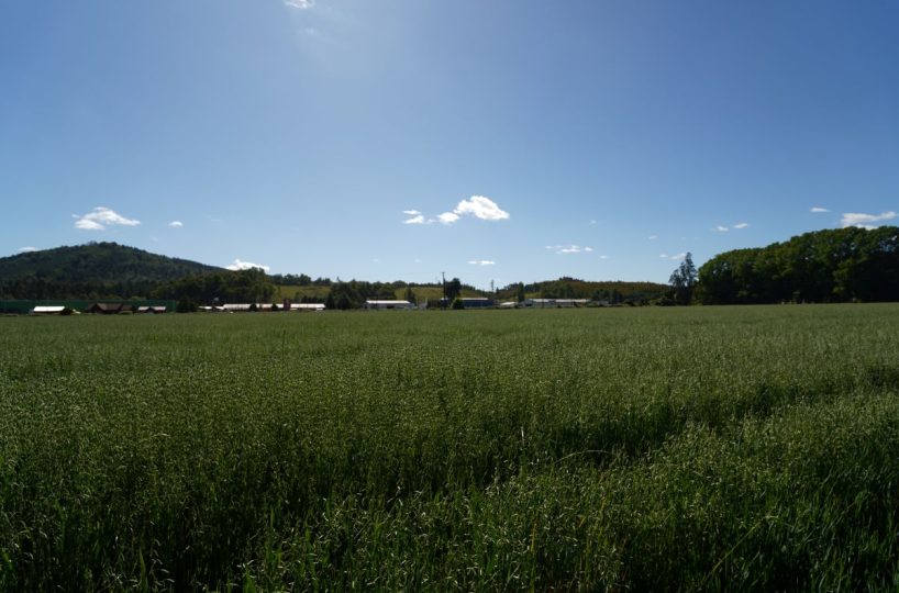 Sale Company Plot Terrrain Production Park Temuco Lautaro Ruta 5