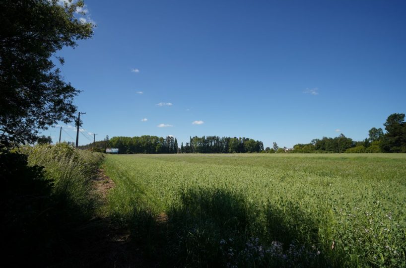 Sale Company Plot Terrrain Production Park Temuco Lautaro Ruta 5