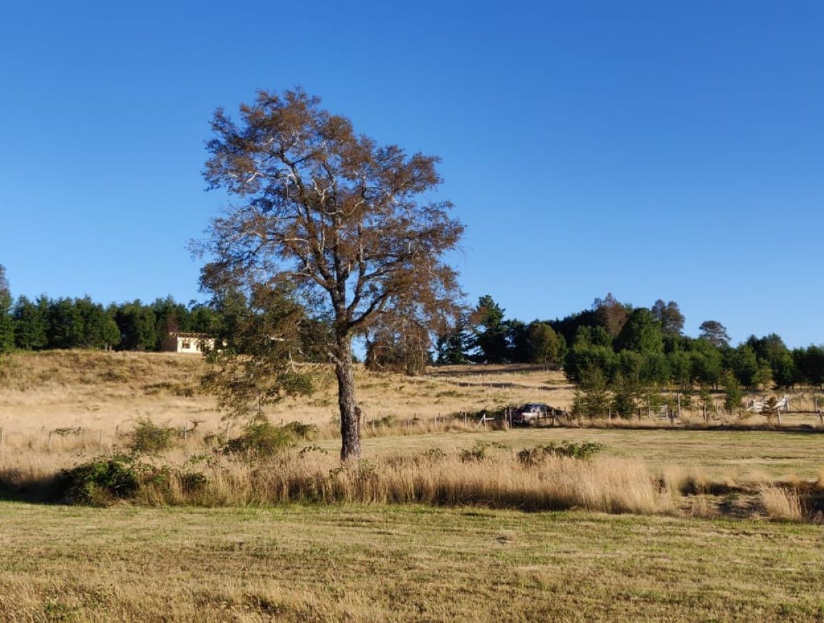 IMM17 land plot construction build house Villarrica Loncoche Gorbea Pucon rural