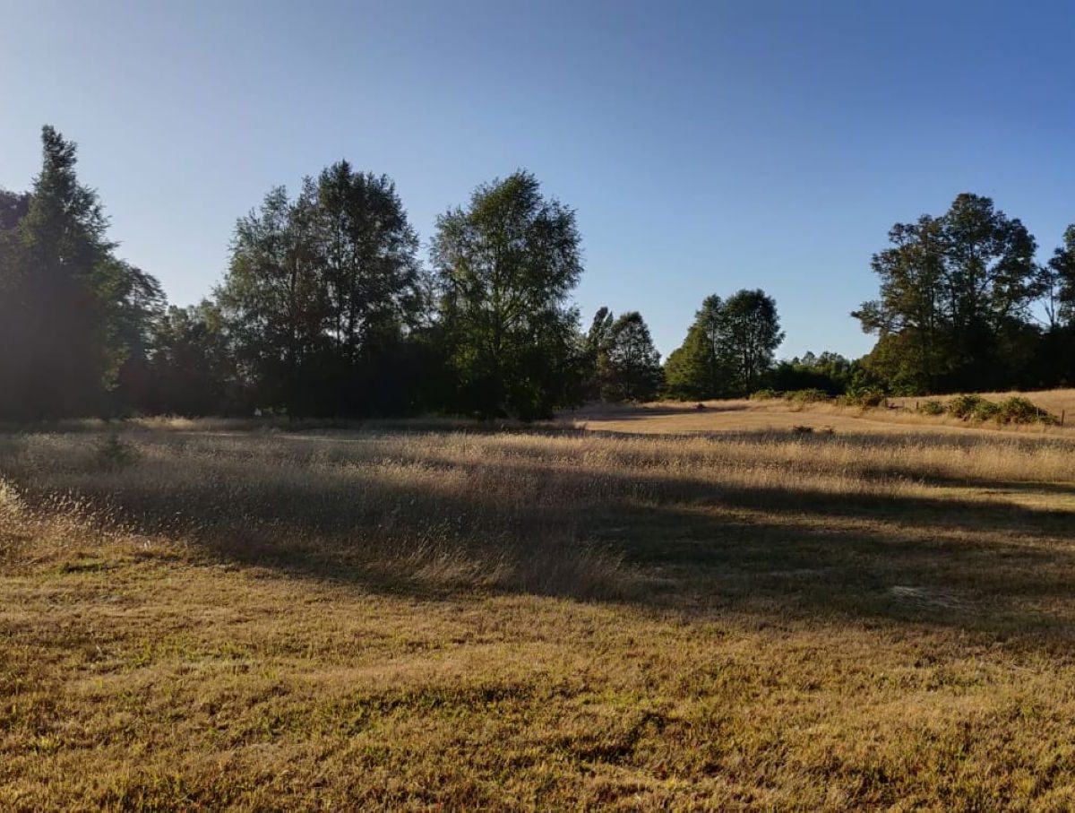 IMM17 land plot construction build house Villarrica Loncoche Gorbea Pucon rural