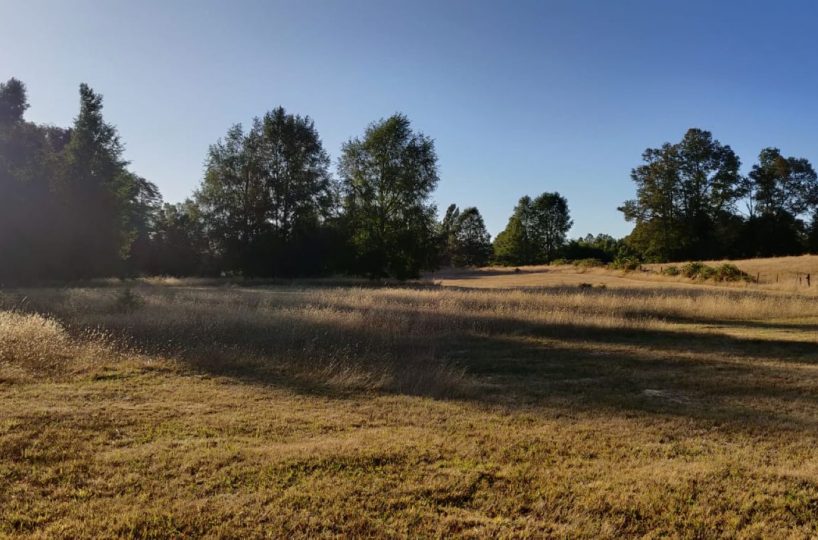 IMM17 land plot construction build house Villarrica Loncoche Gorbea Pucon rural