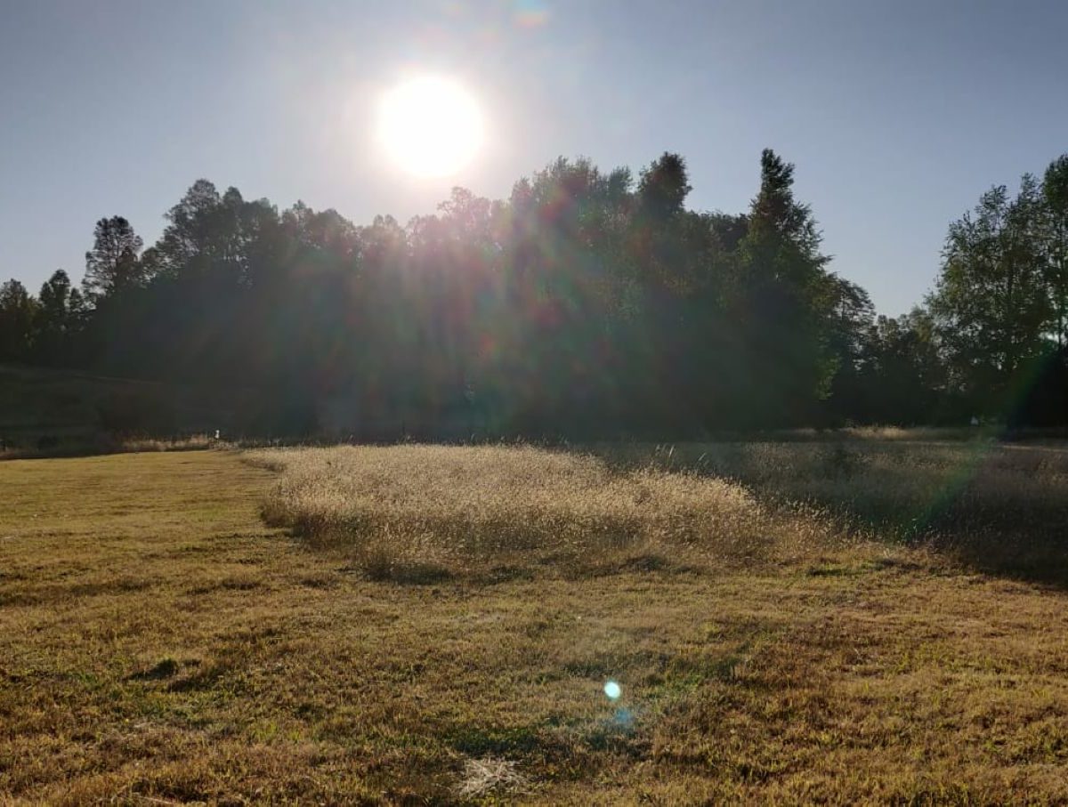 IMM17 land plot construction build house Villarrica Loncoche Gorbea Pucon rural