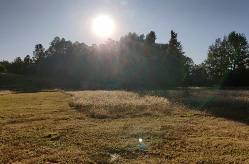 IMM17 land plot construction build house Villarrica Loncoche Gorbea Pucon rural