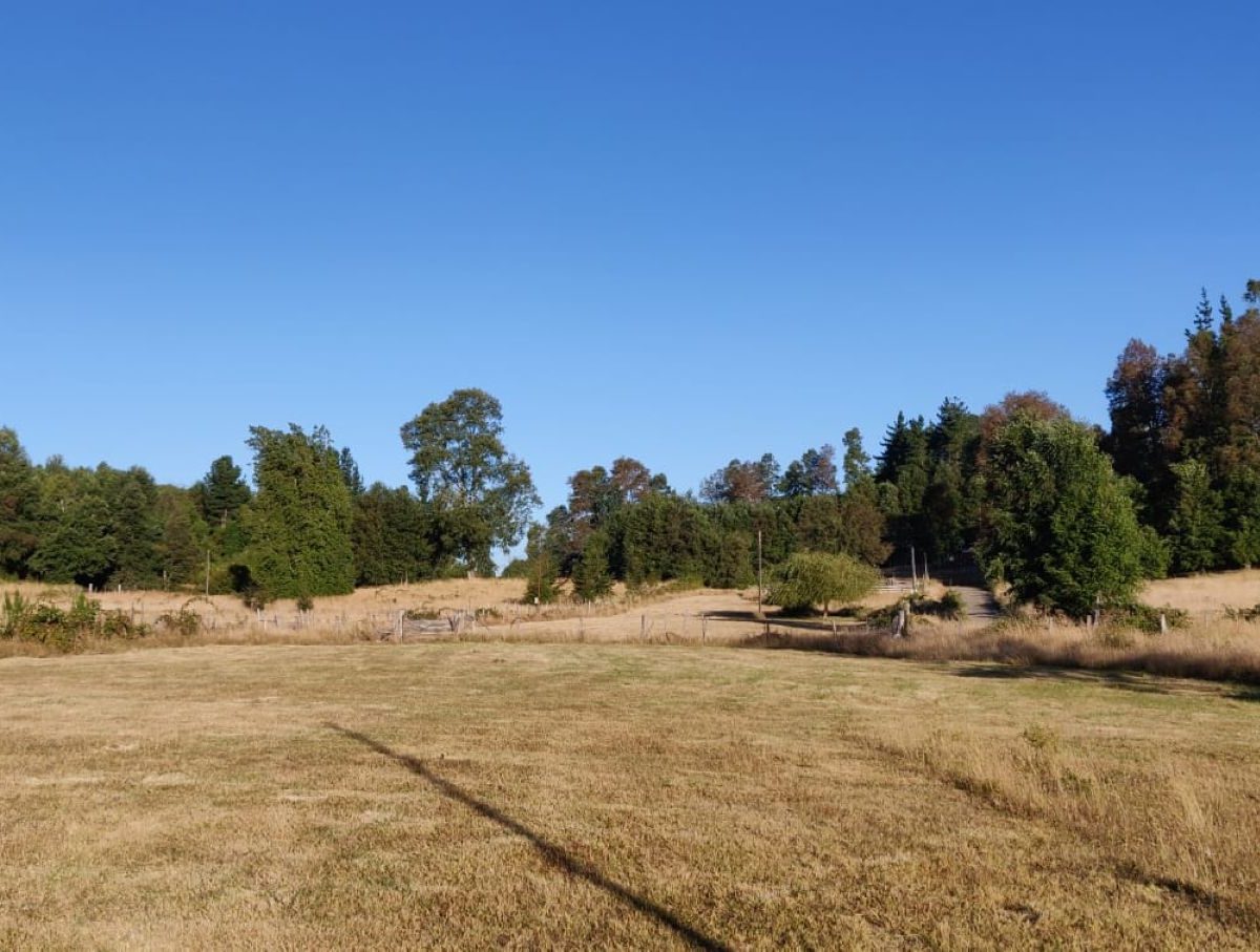 IMM17 land plot construction build house Villarrica Loncoche Gorbea Pucon rural