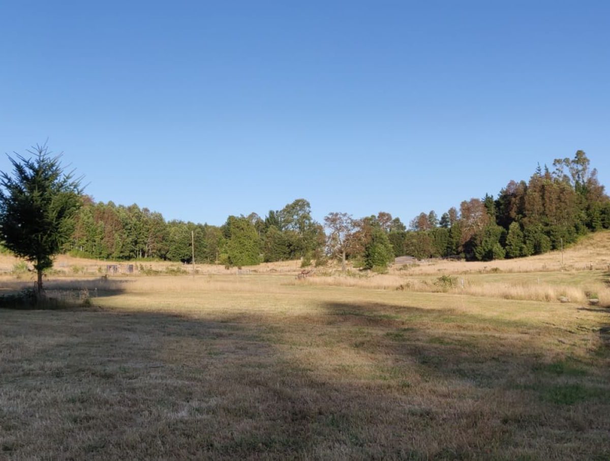 IMM17 land plot construction build house Villarrica Loncoche Gorbea Pucon rural