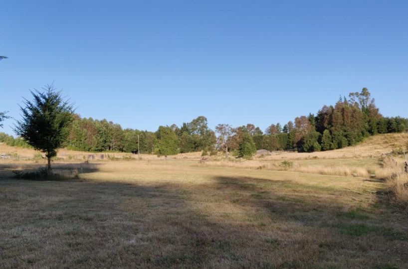 IMM17 land plot construction build house Villarrica Loncoche Gorbea Pucon rural