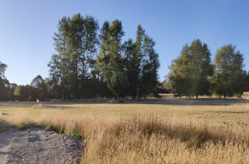 IMM17 land plot construction build house Villarrica Loncoche Gorbea Pucon rural