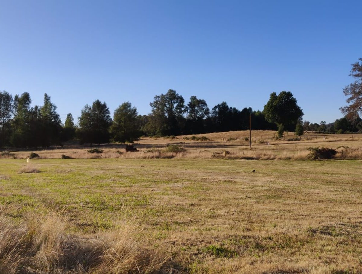 IMM17 land plot construction build house Villarrica Loncoche Gorbea Pucon rural