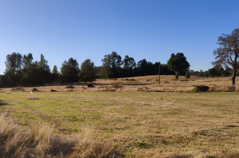 IMM17 land plot construction build house Villarrica Loncoche Gorbea Pucon rural