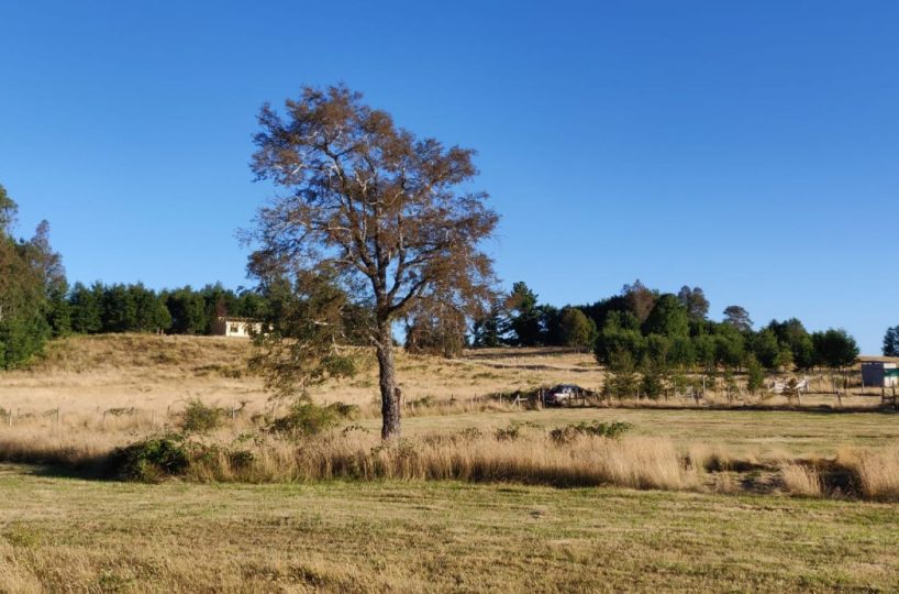 IMM17 land plot construction build house Villarrica Loncoche Gorbea Pucon rural