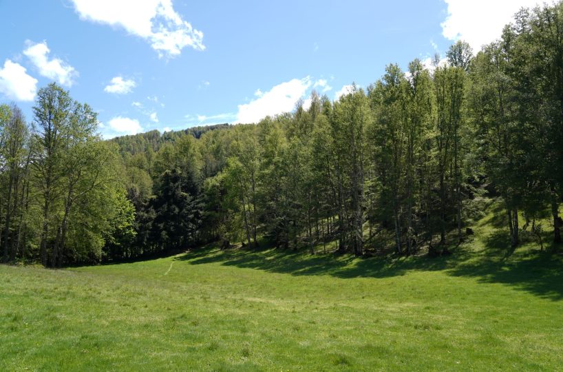 House land Pucon catripulli menetue currarehue helicopter garden barbecue investor investment