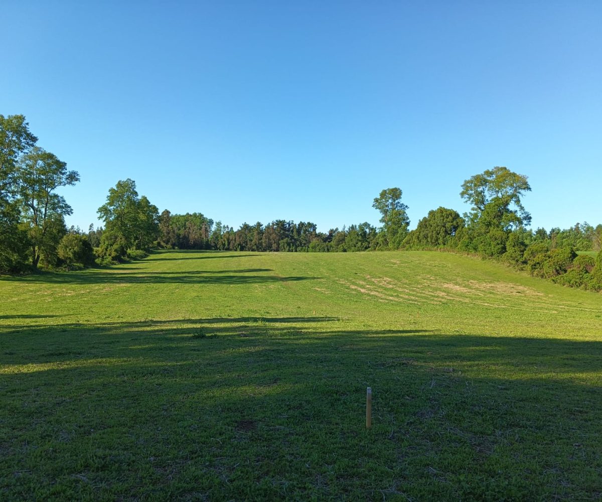 Subdivision Investor Purchase for Sale Villarrica Outskirts Pitrufquén Pucón