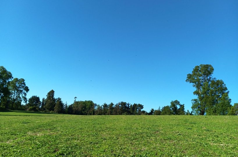 Subdivision Investor Purchase for Sale Villarrica Outskirts Pitrufquén Pucón