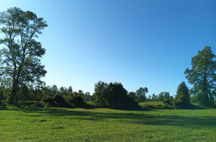 Subdivision Investor Purchase for Sale Villarrica Outskirts Pitrufquén Pucón