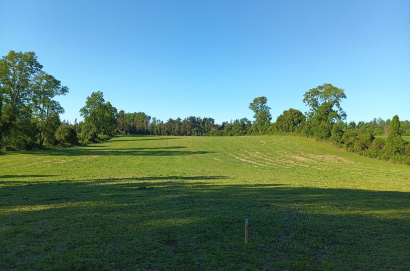 Subdivision Investor Purchase for Sale Villarrica Outskirts Pitrufquén Pucón