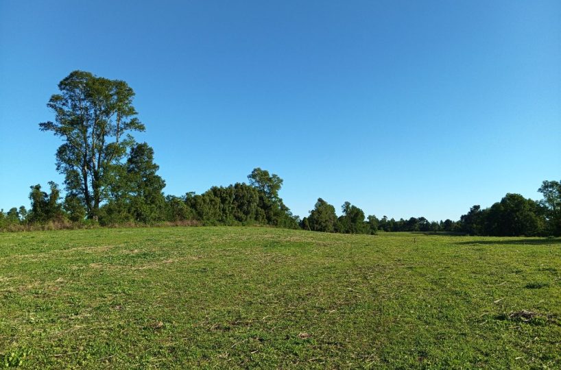 Subdivision Investor Purchase for Sale Villarrica Outskirts Pitrufquén Pucón