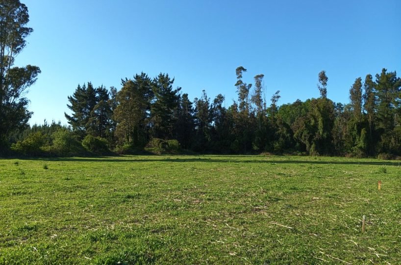 Subdivision Investor Purchase for Sale Villarrica Outskirts Pitrufquén Pucón