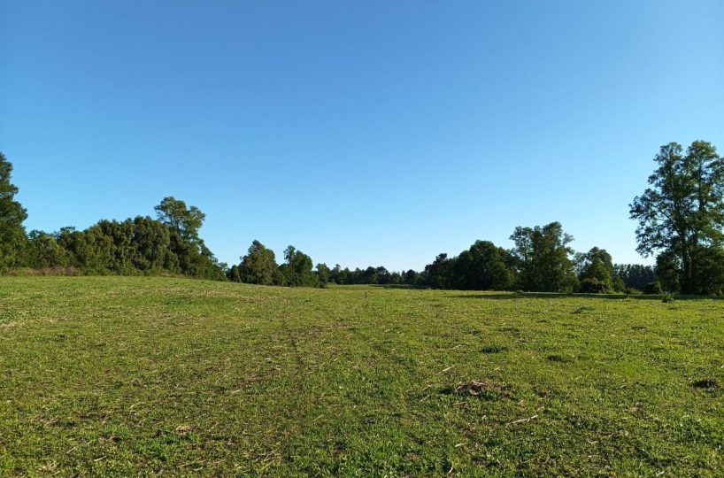 Subdivision Investor Purchase for Sale Villarrica Outskirts Pitrufquén Pucón