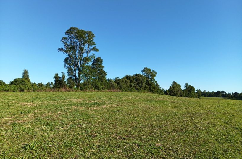 Subdivision Investor Purchase for Sale Villarrica Outskirts Pitrufquén Pucón